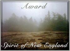 Award Presented by the Spirit of New England Web Ring on 16 June 1999
