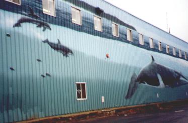 Whale wall